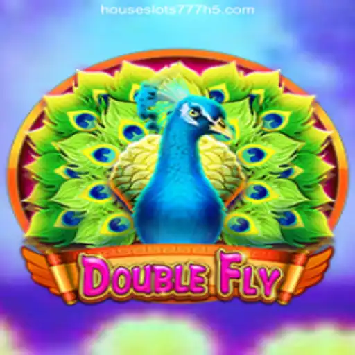 Exploring DoubleFly: The Exciting World of Online Gamification