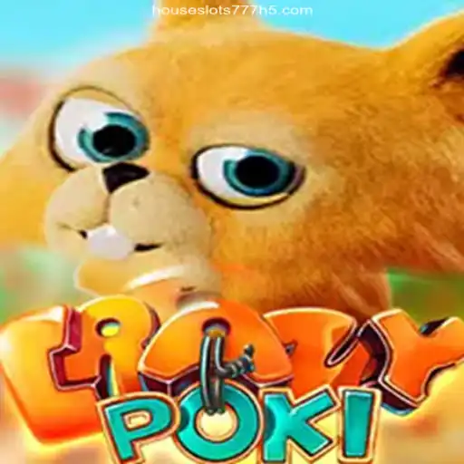 Exploring CrazyPoki: The Exciting Gaming Sensation